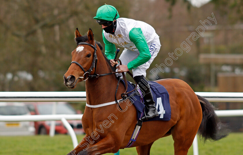 Majestic-Tejaan-0002 
 MAJESTIC TEJAAN (Jack MItchell)
Lingfield 19 Feb 2021 - Pic Steven Cargill / Racingfotos.com