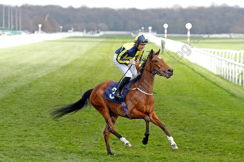 There s-The-Door-0006 
 THERE'S THE DOOR (Pat Cosgrave)
Doncaster 2 Apr 2023 - Pic Steven Cargill / Racingfotos.com