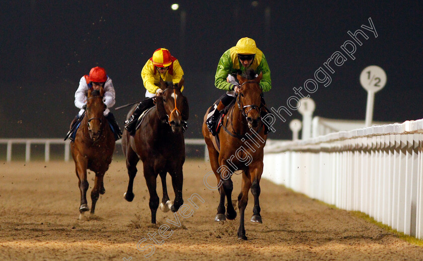 Swissal-0004 
 SWISSAL (Dougie Costello) wins The Bet toteexacta At betfred.com Nursery Chelmsford 1 Feb 2017 - Pic Steven Cargill / Racingfotos.com