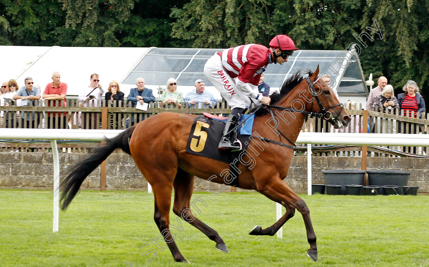 Point-Of-Attack-0001 
 POINT OF ATTACK (Robert Havlin)
Newmarket 1 Jul 2023 - Pic Steven Cargill / Racingfotos.com