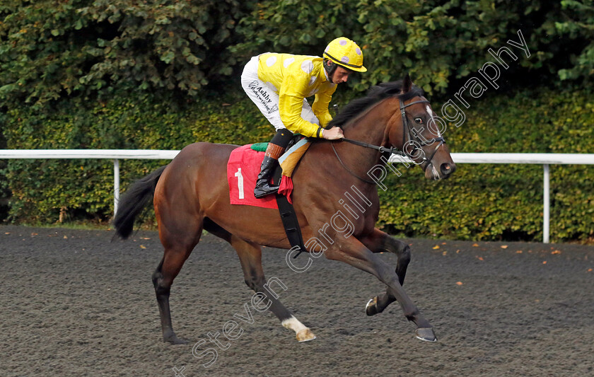 Afentiko-0004 
 AFENTIKO (Rossa Ryan) winner of The Racing TV Nursery
Kempton 6 Sep 2024 - Pic Steven Cargill / Racingfotos.com