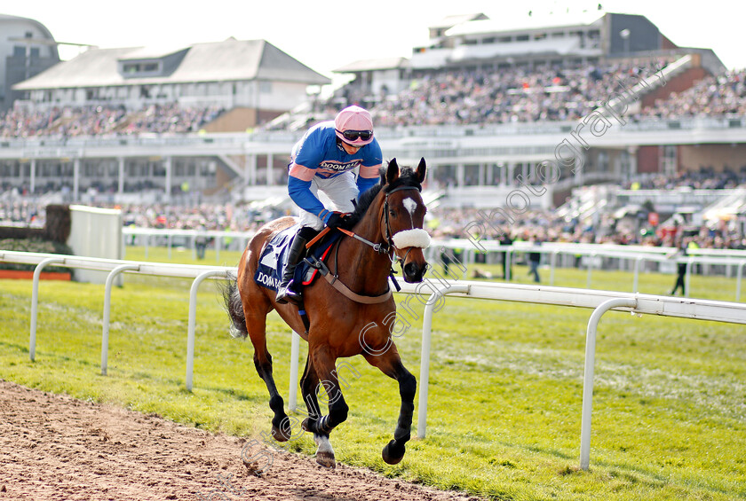 Diego-Du-Charmil-0001 
 DIEGO DU CHARMIL (Harry Cobden) before winning The Doom Bar Maghull Novices Chase Aintree 14 Apr 2018 - Pic Steven Cargill / Racingfotos.com