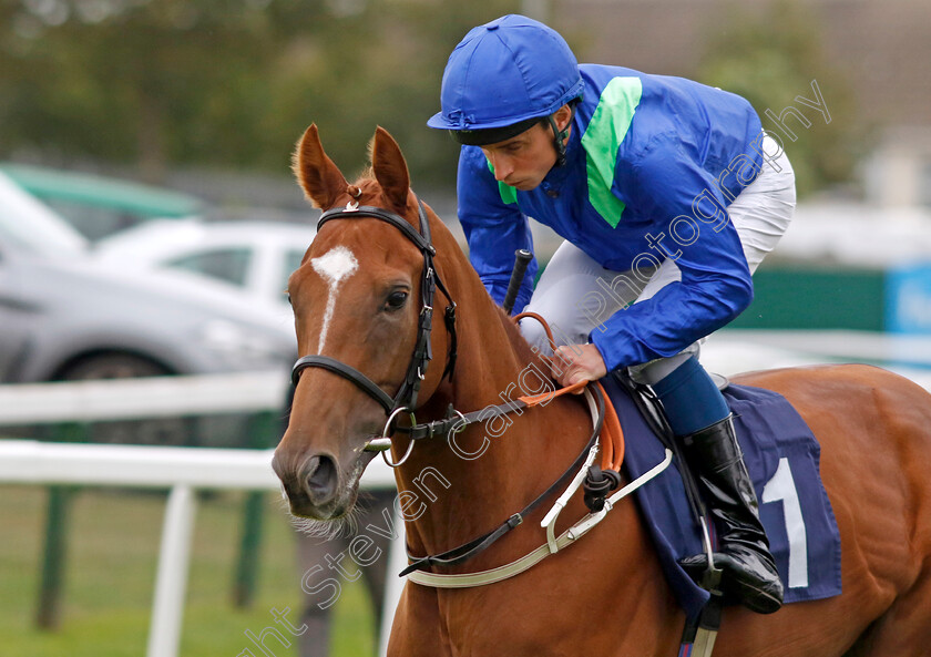 Rosenzoo-0002 
 ROSENZOO (William Buick)
Yarmouth 19 Sep 2023 - Pic Steven Cargill / Racingfotos.com