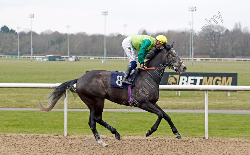 Ferrous-0003 
 FERROUS (David Probert) winner of The BetUk Home Of The Acca Handicap
Wolverhampton 9 Mar 2024 - Pic Steven Cargill / Racingfotos.com