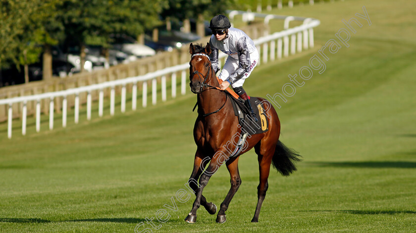 Righthere-Rightnow-0011 
 RIGHTHERE RIGHTNOW (Robert Havlin) winner of The Maritime Cargo Services Road Haulage Hustle EBF Newcomers Maiden Stakes
Newmarket 9 Aug 2024 - Pic Steven Cargill / Racingfotos.com