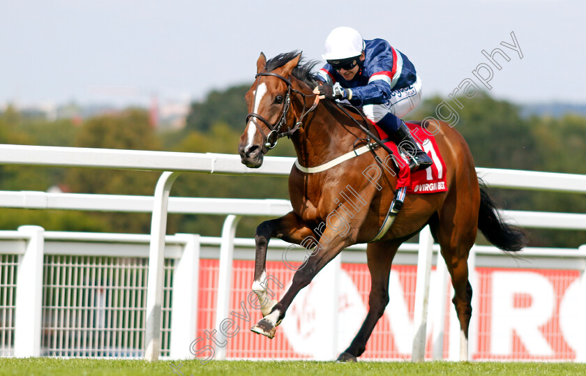 Dual-Identity-0005 
 DUAL IDENTITY (Marco Ghiani) wins The Virgin Bet Handicap
Sandown 2 Sep 2023 - Pic Steven Cargill / Racingfotos.com