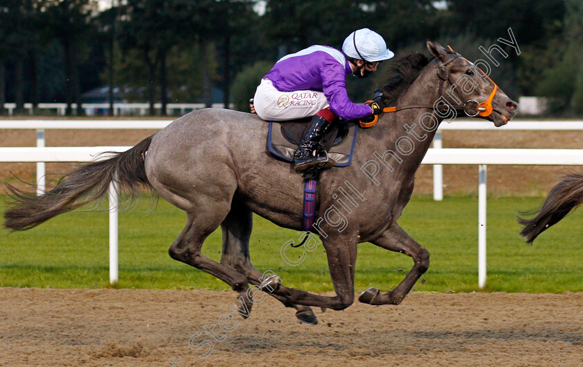 Single-Minded-0002 
 SINGLE MINDED (Oisin Murphy)
Chelmsford 14 Oct 2021 - Pic Steven Cargill / Racingfotos.com