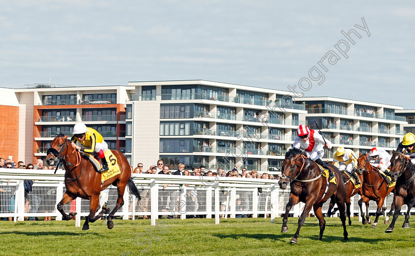 James-Garfield-0002 
 JAMES GARFIELD (Frankie Dettori) beats INVINCIBLE ARMY (right) in The Dubai Duty Free Mill Reef Stakes Newbury 23 Sep 2017 - Pic Steven Cargill / Racingfotos.com