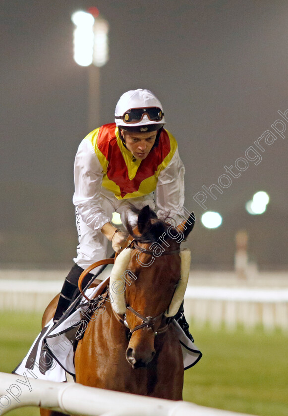 Ursa-Minor-0001 
 URSA MINOR (Ray Dawson)
Meydan 3 Feb 2023 - Pic Steven Cargill / Racingfotos.com