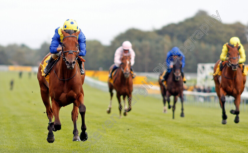 Favorite-Moon-0005 
 FAVORITE MOON (Andrea Atzeni) wins The Best Odds On Betfair Exchange Handicap
Haydock 5 Sep 2020 - Pic Steven Cargill / Racingfotos.com