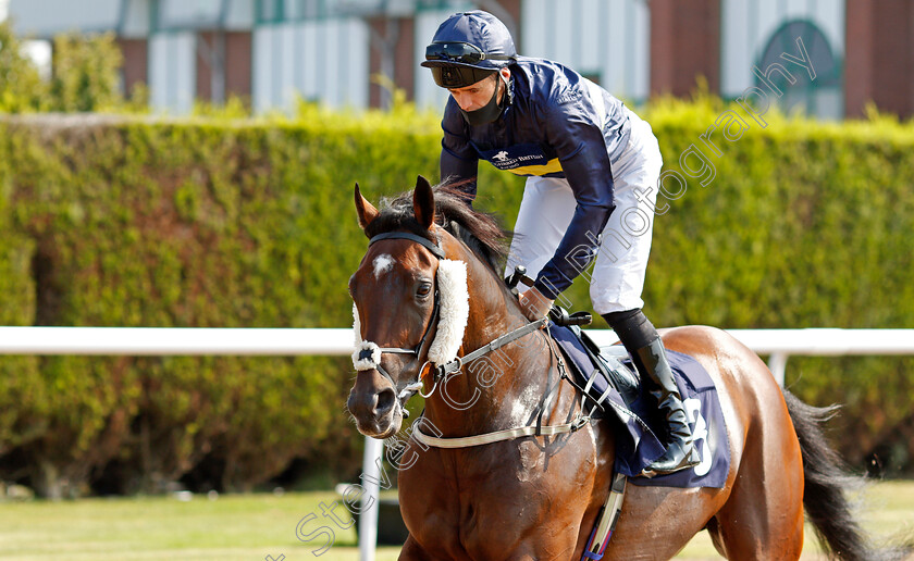 Amjaady-0001 
 AMJAADY (David Nolan)
Wolverhampton 11 Aug 2020 - Pic Steven Cargill / Racingfotos.com