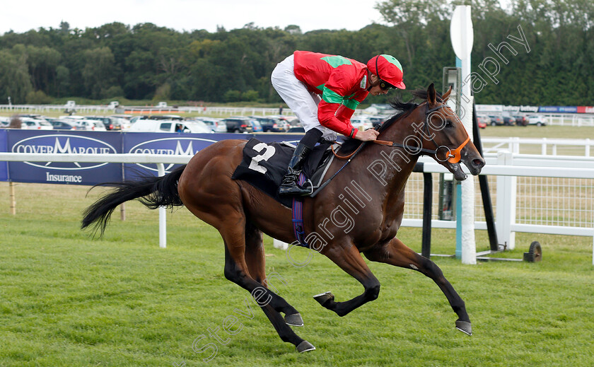 D-Day-0004 
 D DAY (James Doyle) wins The Mildmay Farm And Stud Novice Median Auction Stakes Div2
Newbury 6 Aug 2019 - Pic Steven Cargill / Racingfotos.com