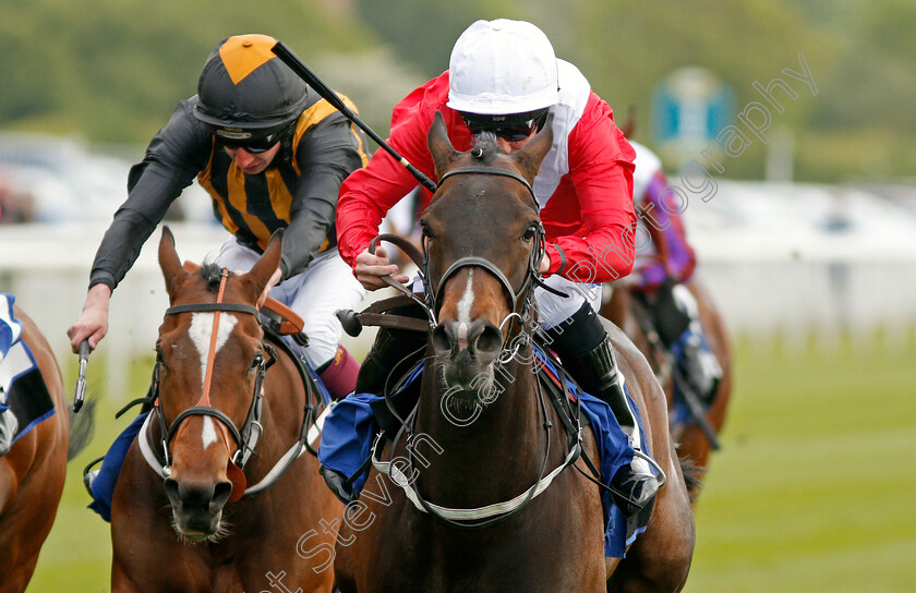 Clubbable-0003 
 CLUBBABLE (Paul Hanagan) wins The Conundrum HR Consulting Handicap York 16 May 2018 - Pic Steven Cargill / Racingfotos.com