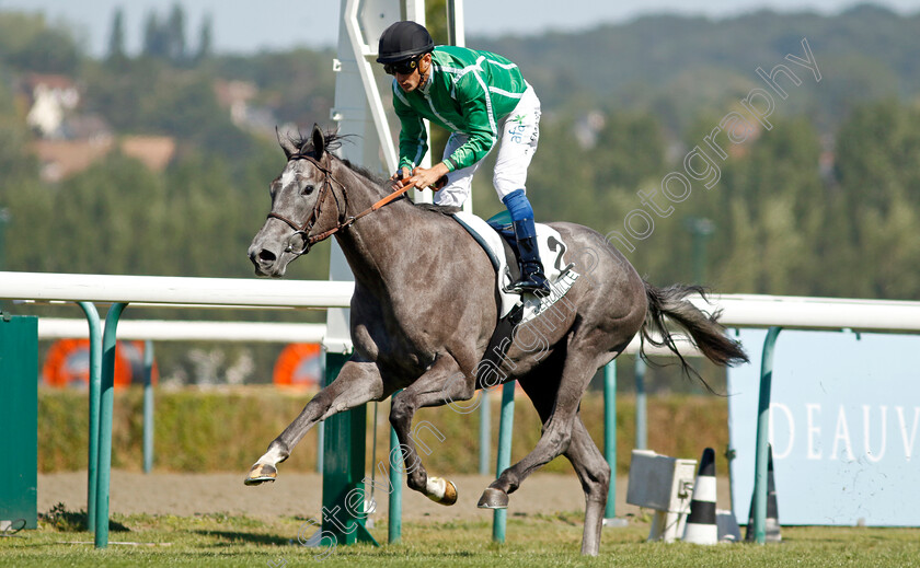 Tigrais-0001 
 TIGRAIS (A Lemaitre) wins The Prix de Falaise
Deauville 6 Aug 2022 - Pic Steven Cargill / Racingfotos.com