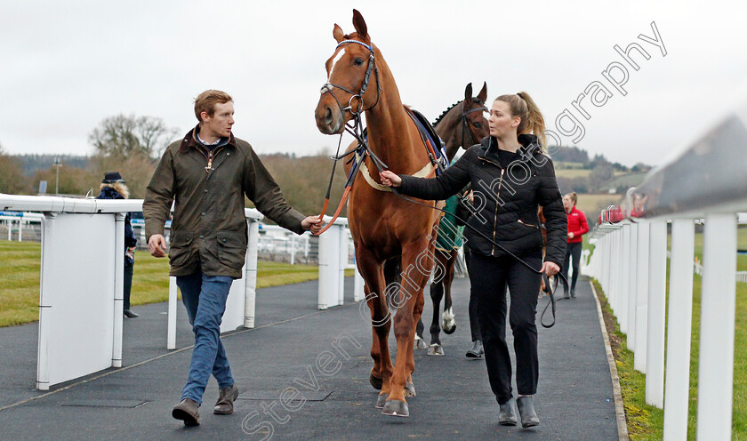 Conceal-0001 
 CONCEAL 
Chepstow 7 Dec 2019 - Pic Steven Cargill / Racingfotos.com