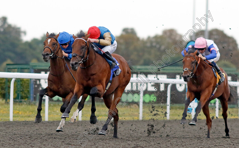 Dunamase-0006 
 DUNAMASE (James Doyle) beats MASUBI (left) and PRINCE OF THE SEAS (right) in The Unitbet British Stallion Studs EBF Novice Stakes
Kempton 28 Aug 2024 - Pic Steven Cargill / Racingfotos.com