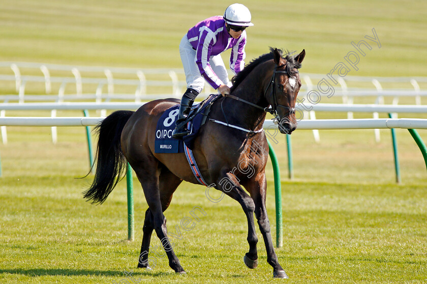 Murillo-0001 
 MURILLO (Wayne Lordan) Newmarket 5 May 2018 - Pic Steven Cargill / Racingfotos.com