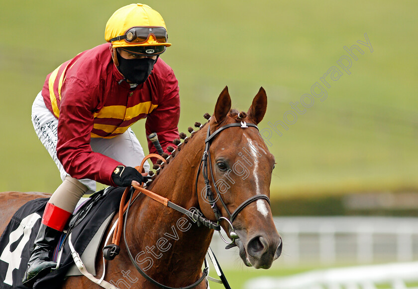 Outback-Boy-0001 
 OUTBACK BOY (Andrea Atzeni)
Goodwood 23 Sep 2020 - Pic Steven Cargill / Racingfotos.com