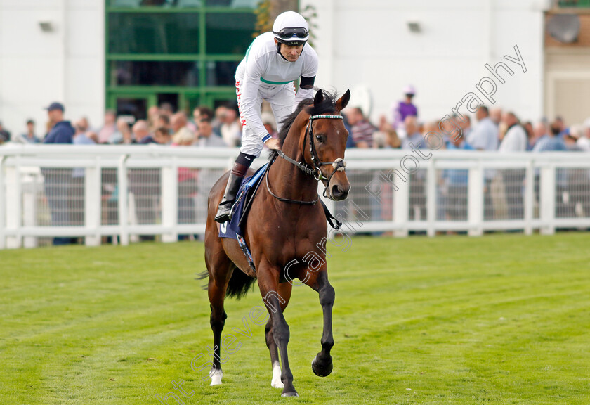 Storm-Castle-0002 
 STORM CASTLE (Robert Havlin)
Yarmouth 13 Sep 2022 - Pic Steven Cargill / Racingfotos.com