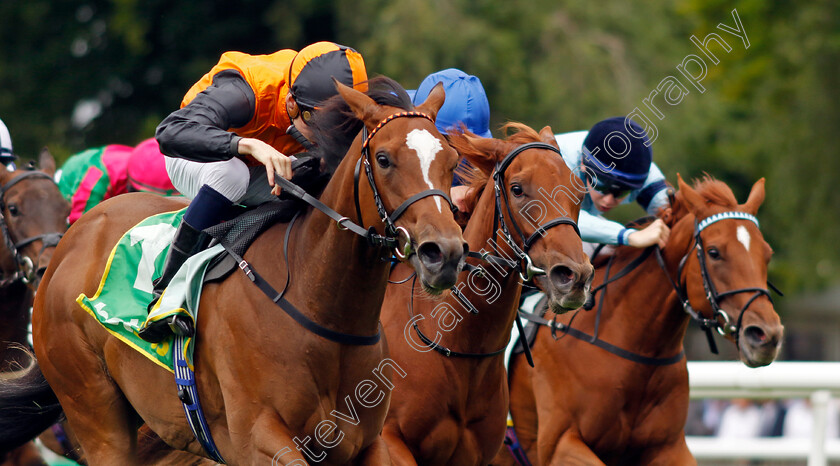 Arabian-Dusk-0002 
 ARABIAN DUSK (Harry Davies) wins The Duchess Of Cambridge Stakes
Newmarket 12 Jul 2024 - pic Steven Cargill / Racingfotos.com