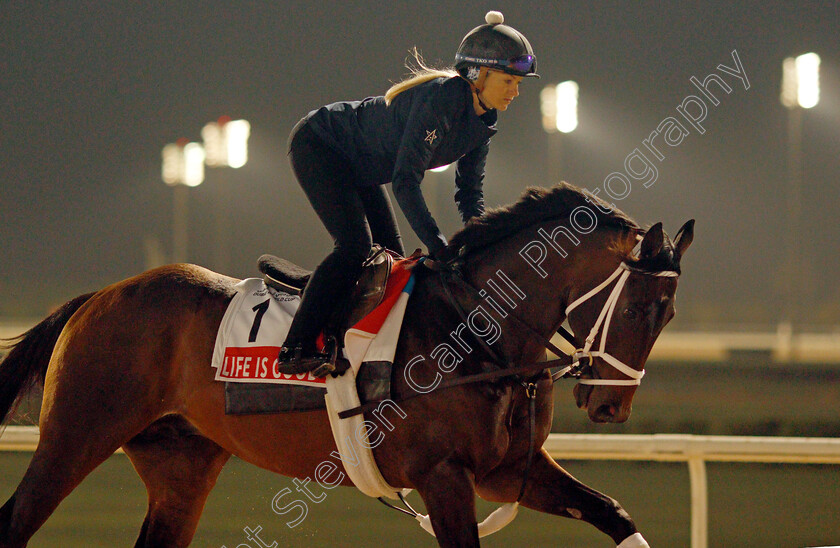 Life-Is-Good-0013 
 LIFE IS GOOD training for the Dubai World Cup
Meydan, Dubai, 22 Mar 2022 - Pic Steven Cargill / Racingfotos.com