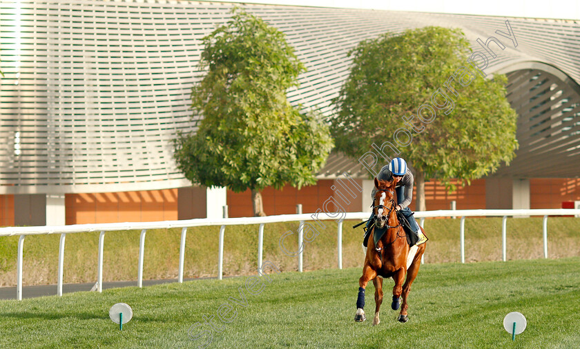 Mohaafeth-0004 
 MOHAAFETH (Jim Crowley) training for The Dubai Turf
Meydan, Dubai, 24 Mar 2022 - Pic Steven Cargill / Racingfotos.com