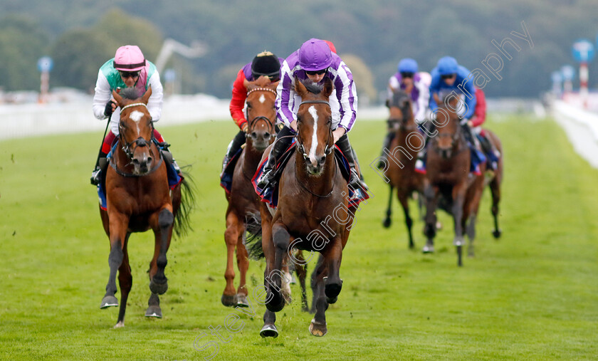 Continuous-0005 
 CONTINUOUS (Ryan Moore) beats ARREST (left) in The Betfred St Leger Stakes
Doncaster 16 Sep 2023 - Pic Steven Cargill / Racingfotos.com