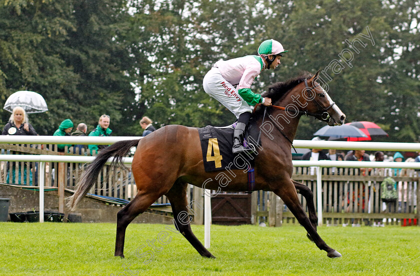 Modern-Verse-0001 
 MODERN VERSE (Charles Bishop)
Newmarket 5 Aug 2023 - Pic Steven Cargill / Racingfotos.com