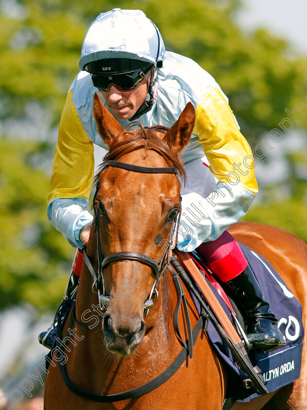 Altyn-Orda-0001 
 ALTYN ORDA (Frankie Dettori) Newmarket 6 May 2018 - Pic Steven Cargill / Racingfotos.com