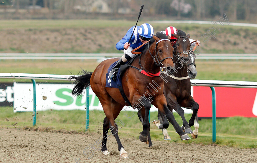 Mohtarrif-0004 
 MOHTARRIF (Martin Dwyer) wins The Ladbrokes Home Of The Odds Boost Novice Stakes
Lingfield 23 Mar 2019 - Pic Steven Cargill / Racingfotos.com