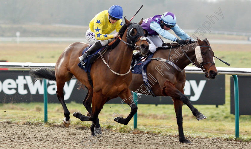 Collate-0004 
 COLLATE (left, David Probert) beats DIAMOND REFLECTION (right) in The Sun Racing Handicap
Lingfield 25 Jan 2019 - Pic Steven Cargill / Racingfotos.com