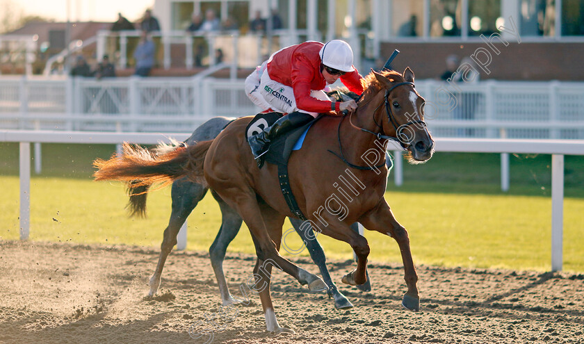 Protest-0003 
 PROTEST (Jack Mitchell) wins The Juddmonte EBF Fillies Restricted Novice Stakes
Chelmsford 3 Oct 2024 - Pic Steven Cargill / Racingfotos.com