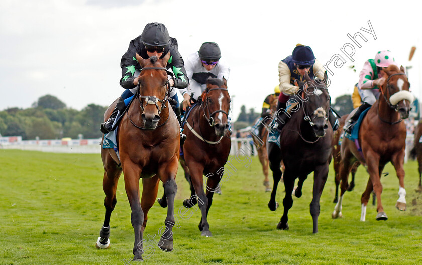 Inquisitively-0003 
 INQUISITIVELY (William Buick) wins The Julia Graves Roses Stakes
York 26 Aug 2023 - Pic Steven Cargill / Racingfotos.com