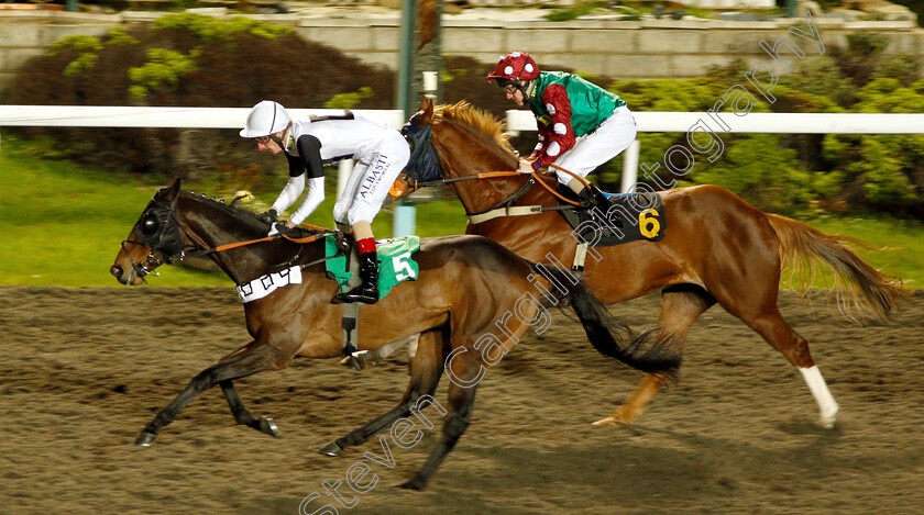 Apex-Predator-0003 
 APEX PREDATOR (Adam Kirby) wins The 32Red On The App Store Handicap Div1
Kempton 4 Jan 2019 - Pic Steven Cargill / Racingfotos.com