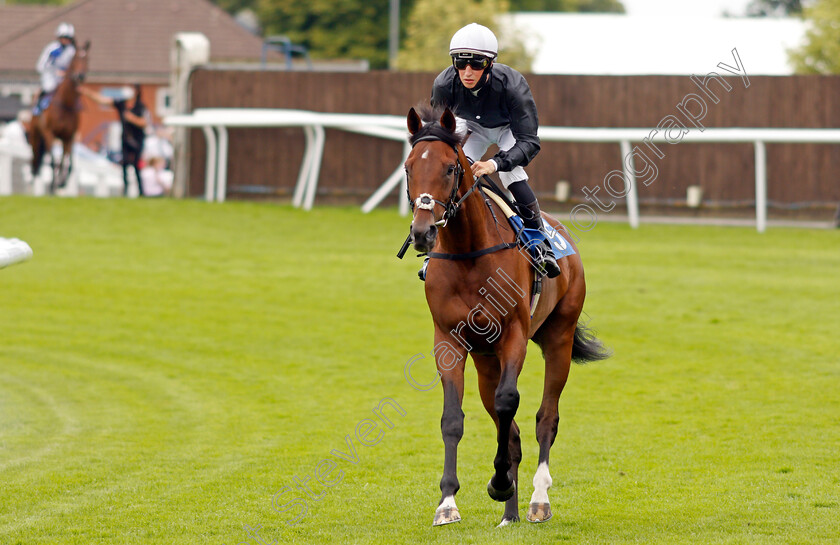 Adrastus-0002 
 ADRASTUS (Ross Coakley)
Leicester 15 Jul 2021 - Pic Steven Cargill / Racingfotos.com