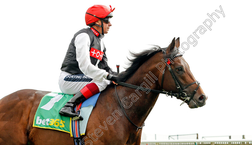 Megallan 
 MEGALLAN (Frankie Dettori)
Newmarket 12 Apr 2022 - Pic Steven Cargill / Racingfotos.com