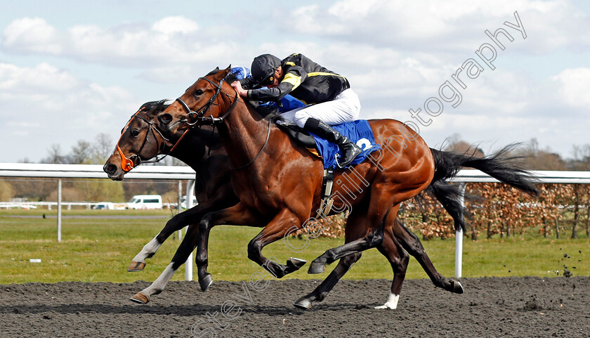 Dukebox-0004 
 DUKEBOX (farside, Sean Levey) beats MENG TIAN (nearside, James Doyle) in The Play Slingo Starburst At Unibet EBF Novice Stakes
Kempton 5 Apr 2021 - Pic Steven Cargill / Racingfotos.com