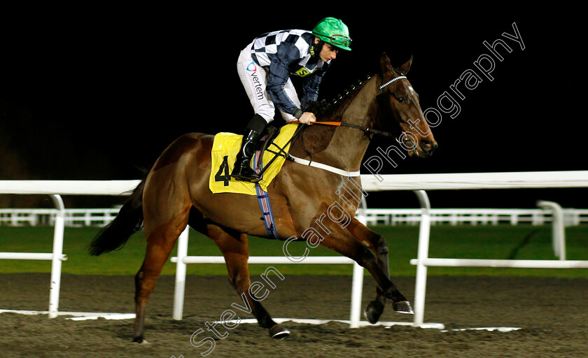 Reshoun-0001 
 RESHOUN (P J McDonald)
Kempton 5 Dec 2018 - Pic Steven Cargill / Racingfotos.com