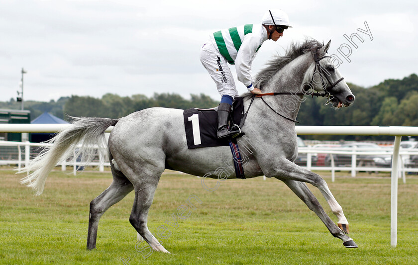 Algometer-0002 
 ALGOMETER (Jim Crowley)
Newbury 18 Aug 2018 - Pic Steven Cargill / Racingfotos.com