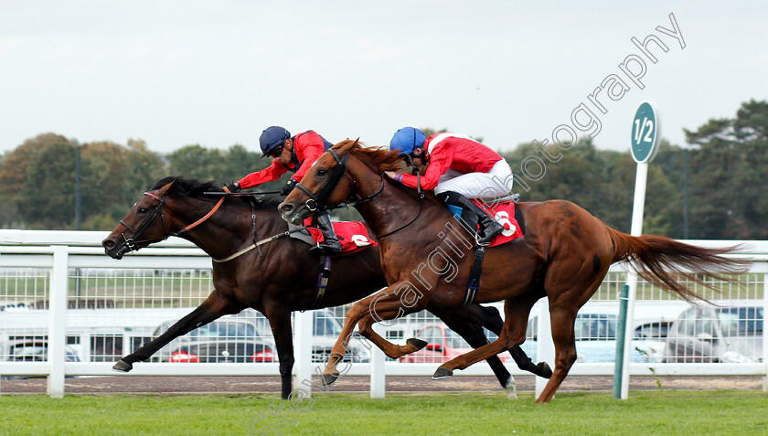 Knight-Errant-0001 
 KNIGHT ERRANT (Silvestre De Sousa) beats WHITLOCK (right) in The smarkets.com Handicap
Sandown 19 Sep 2018 - Pic Steven Cargill / Racingfotos.com