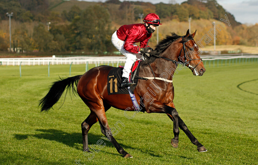 Radiant-Light-0001 
 RADIANT LIGHT (Cieren Fallon)
Nottingham 4 Nov 2020 - Pic Steven Cargill / Racingfotos.com