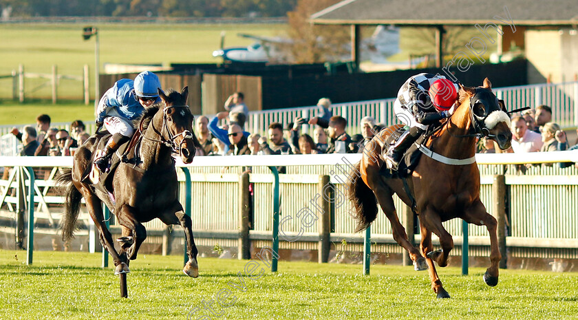 Torcello-0004 
 TORCELLO (Rossa Ryan) beats HAARAR (left) in The racingtv.com/freetrial Handicap
Newmarket 28 Oct 2022 - Pic Steven Cargill / Racingfotos.com