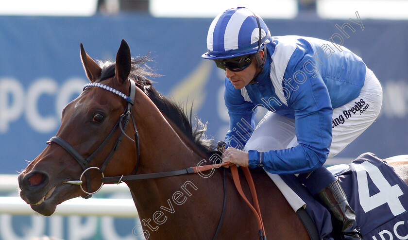 Maqsad-0008 
 MAQSAD (Jim Crowley) wins The Tweenhills Pretty Polly Stakes
Newmarket 5 May 2019 - Pic Steven Cargill / Racingfotos.com