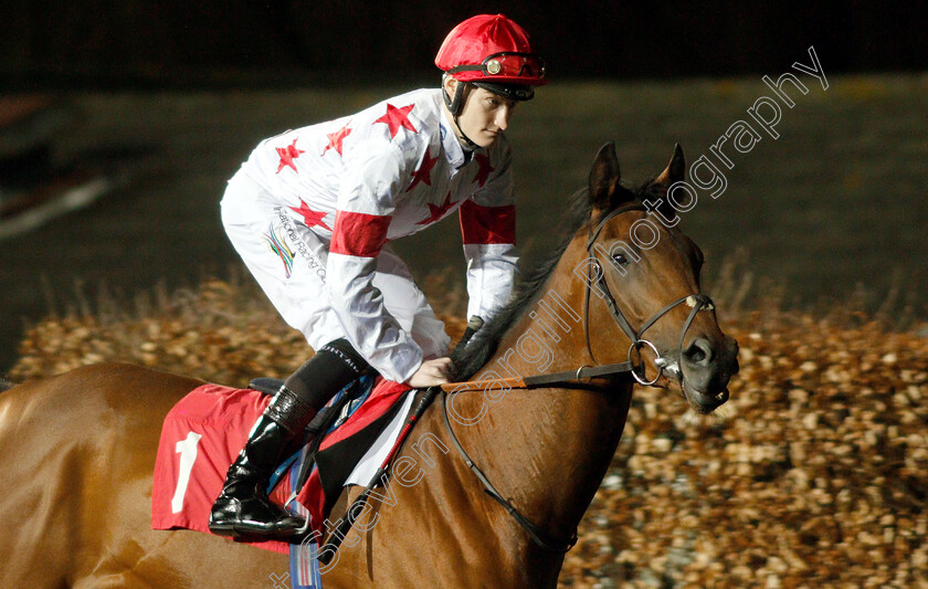 Don-Jupp-0001 
 DON JUPP (Daniel Muscutt)
Kempton 6 Mar 2019 - Pic Steven Cargill / Racingfotos.com