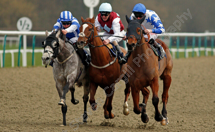 Murhib-0004 
 MURHIB (right, Robert Havlin) beats ARABESCATO (left, Adam Kirby) and THREE DRAGONS (centre, Joe Fanning) in The Heed Your Hunch At Betway Handicap
Lingfield 6 Feb 2021 - Pic Steven Cargill / Racingfotos.com