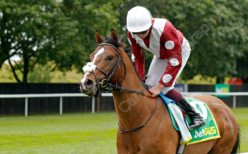 Nopoli-0001 
 NOPOLI (Rob Hornby)
Newmarket 15 Jul 2023 - Pic Steven Cargill / Racingfotos.com