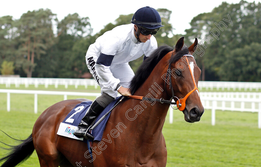 Production-0002 
 PRODUCTION (Tom Marquand) 
Ascot 8 Sep 2018 - Pic Steven Cargill / Racingfotos.com