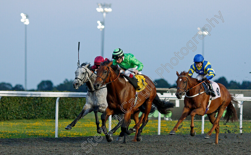 Vino-Victrix-0001 
 VINO VICTRIX (Oisin Murphy) wins The Unibet Extra Place Offers Every Day Handicap
Kempton 4 Aug 2021 - Pic Steven Cargill / Racingfotos.com