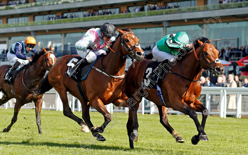 Century-Dream-0002 
 CENTURY DREAM (right, William Buick) beats CRAZY HORSE (left) in The Celebrating The Commonwealth Paradise Stakes Ascot 2 May 2018 - Pic Steven Cargill / Racingfotos.com