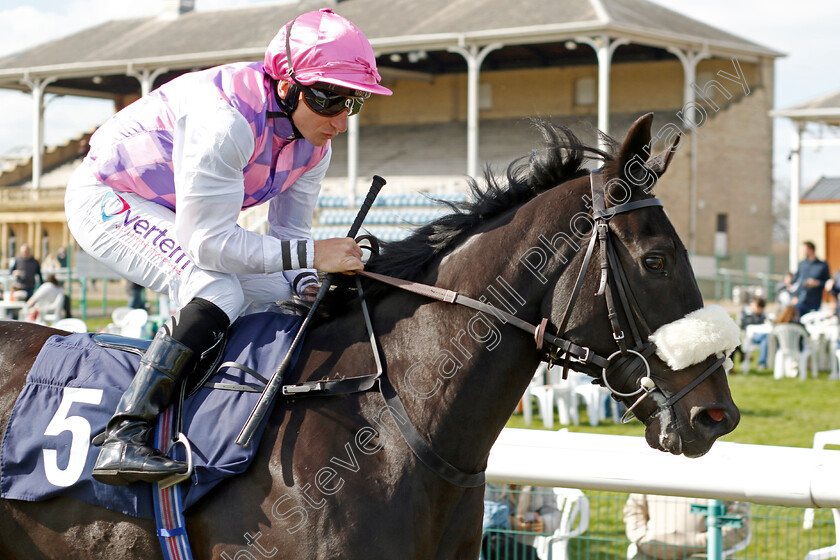 Greenwich-0001 
 GREENWICH (P J McDonald)
Doncaster 2 Apr 2023 - Pic Steven Cargill / Racingfotos.com